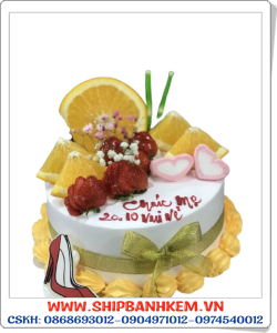 Bánh Kem Tặng Ngày Giáng Sinh - BR76
